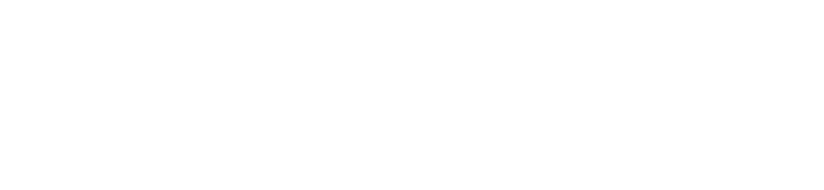 De La Rosa Professional Services Inc.